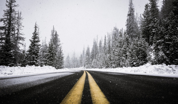 Snow covered trees with a road down the middle