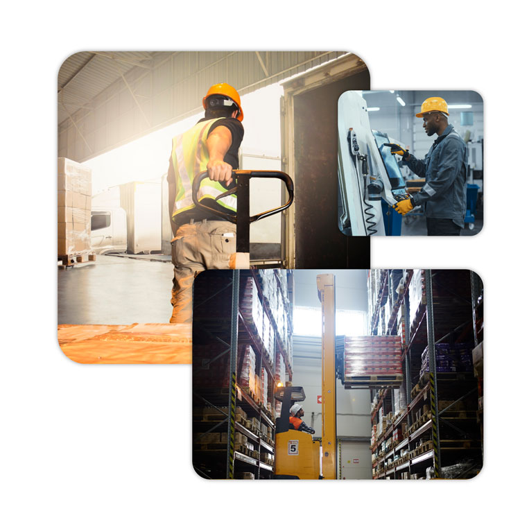 Phase 2: Ramp-up & launch